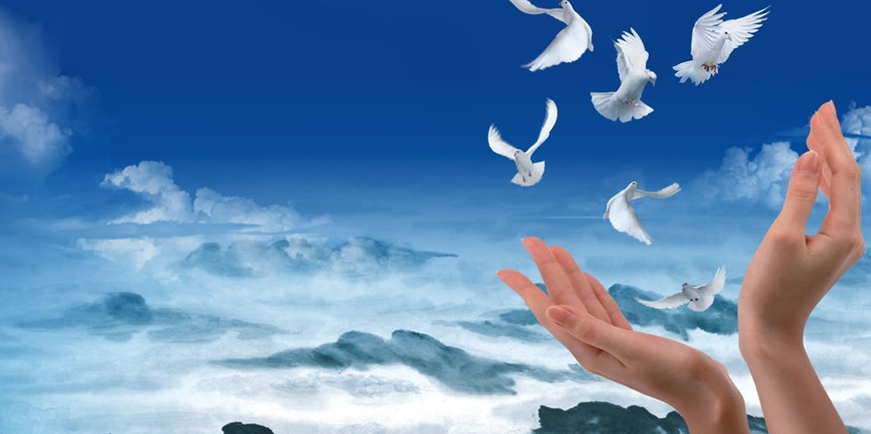 賽睿經(jīng)營起重配件、電器開關(guān)